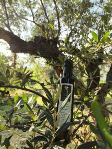 Lithara Extra Virgin Olive Oil