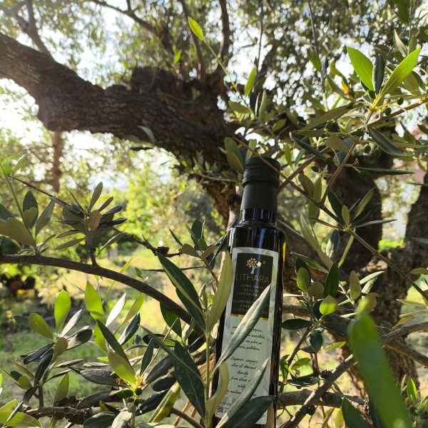 Lithara Extra Virgin Olive Oil
